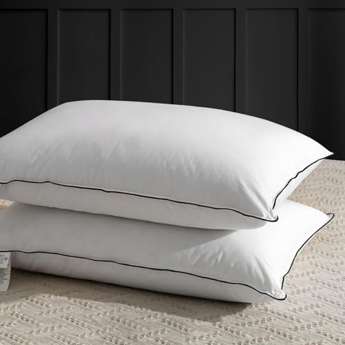 APSMILE Almohada de Pluma 60x60, Almohada de Lujo para Dormir de Pluma de Ganso, 100% algodón orgánico Funda, Almohada de Cama Envuelta en poliéster de la colección hotelera (Blanca, 2 Piezas)