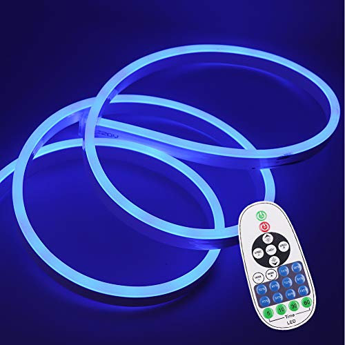 XUNATA 10M Blau 220V Dimmbares LED Neon Streifen IP65 Wasserdicht Diffusion Flexibles LED Lichtschlauch mit 23 Tasten IR Fernbedienung und 220V 750W Transformator Netzteil