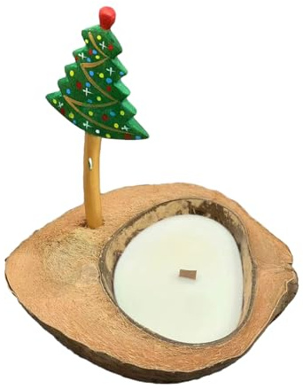 Candela Profumata Alla Cera Soia Porta Conchiglia Cocco AromaterapiaAroma Home Hotel Decorazione Della Festa Nuziale Noci Cocco Profumate