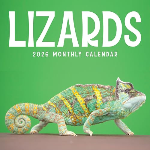 Lizards 2026 Calendar | Reptile Monthly Wall Planner | Geckos, Bearded Dragon, Chameleons, Iguana, Skink, Agama | Planner 2026-2027 | Marble City Press | 12” x 24” Open | Sustainable | Plastic Free | Printed on Thick Art Paper
