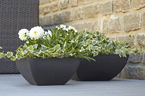 Wunderschöne Pflanzschale/Schale zum Bepflanzen – Eckige Blumenschale - Kunststoff/Kunststoffschale - Winterfest (Groß: 40x40x18cm, Anthrazit)