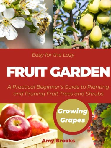 Easy for the Lazy Fruit Garden: A Practical Beginner’s Guide to Planting and Pruning Fruit Trees and Shrubs (First Еxperience)
