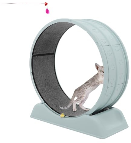 Armanyya Kattbalanscykel 79 x 34 x 84 cm, balanscykel supertyst för katter, med avtagbart löpband och säkerhetsspänne, lastkapacitet 10 kg, inomhus – sportleksaker och utrustning