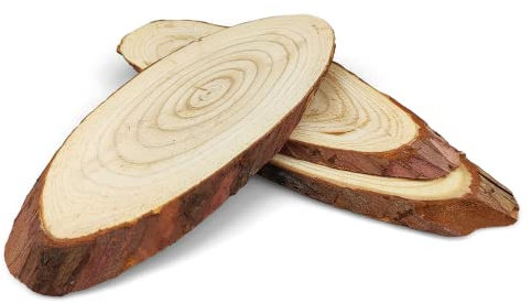 3x Holzscheiben Baumscheiben Deko Holzscheiben 16-23 cm oval ohne Loch Naturholz ideal für Dekoration Handwerk DIY zum Basteln Bemalen Weihnachten Hochzeit