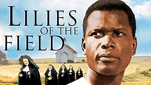 Lilies of the Field