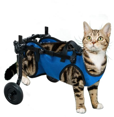 Pet Wheelchair Dog Leg Brace and Hip Support， Wheelchair for Back Legs，Adjustable Pet Cart，Assist a paralyzed pet get Back on its feet，Support Leg Brace and Hip (Extra Small)