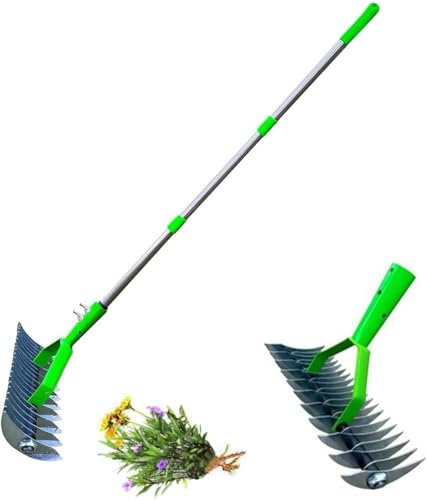 Lawn Aerator Scarifier with Handle - Manual Lawn Grass Soil Aeration Scarification, Dethatching Rake, Lawn Aerator Spikes Aerating Tool, for Lawn Care & Maintenance, Dead Leaves Removal (B, 1.3M)