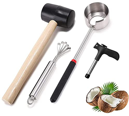HZIYOU Juego de herramientas para abridor de coco, de acero inoxidable de grado alimenticio, abridor de cuencos, martillo, rallador de coco, abridor de agujeros (4 unidades)