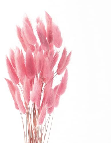 ROOBZE Pampas secas Decoracion 50 Unidades Flores secas Naturales Ramo, decoración de Dormitorio y hogar (Rosa)