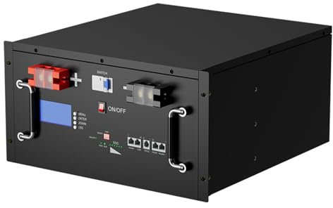 WILLQ Batterie au Lithium 48V 100Ah 16 cellules 5120Wh à Cycle Profond Rechargeable 51,2V LiFePO4 avec BMS 100A pour Alimentation de Secours/Solaire/Stockage d'énergie Hors réseau