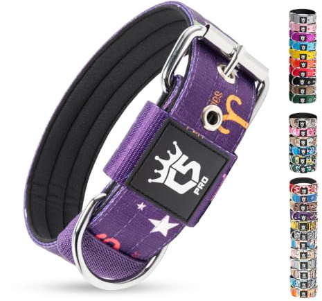 TSPRO Taktisches Hundehalsband für Mittelgroße bis Große Hunde, Gepolstert | Weich Gepolstertes Innenfutter, Robuste Metallschnalle, Verstellbar, Für Spaziergänge, 3,8 cm Breit (Konstellation Lila, L)