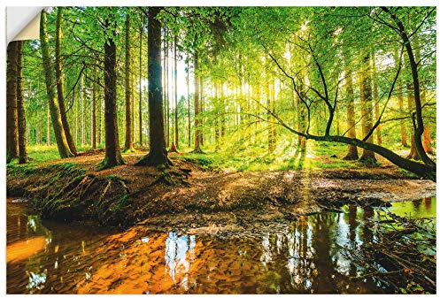 ARTland Wanddeko Wandtattoo selbstklebende Vinylfolie 90x60 cm Wald Natur Landschaft Bäume Bach Sonne Frühling T9IO