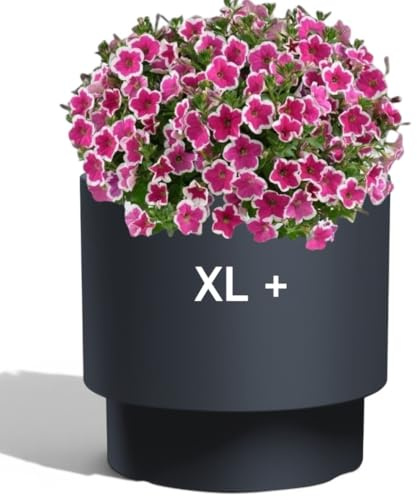 MELTOM Blomkruka rund med insats – blomkruka modern matt – frostbeständig och UV-beständig – antracit – storlek XL Ø 39,5 cm – för inomhus- och utomhusbruk