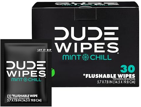 DUDE Wipes On-The-Go Mint Chill Travel Wipes - 30 Count (Individually Wrapped) - Extra-Large Adult Flushable Wipes - Infused with Tea Tree Oil, Vitamin E, and Aloe - Septic and Sewer Safe