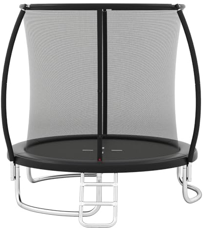 Trampolin mit Sicherheitsnetz und Leiter, robuster verzinkter Stahl, Outdoor-Rebounder für Kinder und Erwachsene, 244 cm
