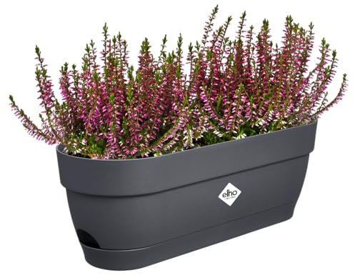 Elho Vibia Campana Trough 50 - Jardinera por Balcón - Ø 49.0 x H 17.0 cm - Negro/Anthracite