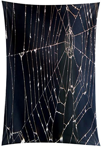 WOSHJIUK Bild Spinnennetz Tapisserie-Wandbehang,60x40 Zoll Wandteppich, Wanddekoration für Wohnzimmer, Schlafzimmer