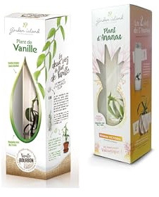 Garden Island – Pack de duo (1 planta de vainilla bourbon + 1 planta de piña victoria) in vitro, kit exclusivo, listo para crecer y cultivar en casa, para regalar o para disfrutar