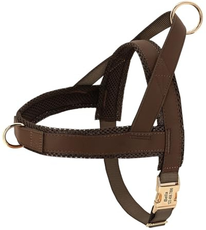 Anti-Zug-Hundegeschirr, Trainingsweste for Haustiere, geeignet for mittelgroße bis große Hunde(Black B,Style C)