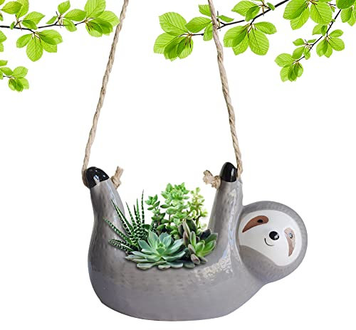 BIGEBO Pot de fleurs mignon en céramique gris pour plantes grasses d'intérieur plantes en pot, cactus, aloès et décoration d'intérieur - Plantes non incluses