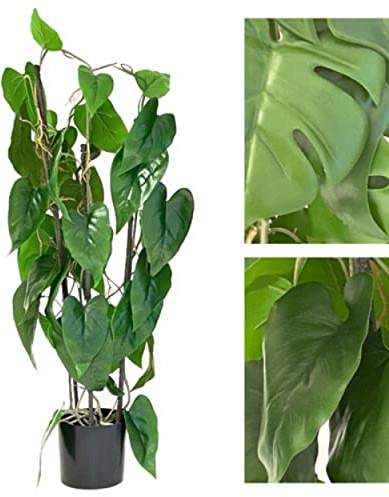 VEA SRL Pflanze G. Monstera Tropical 77 cm 58708