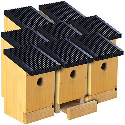 Royal Gardineer Vogelhaus Holz: 8er-Set Tannenholz-Nistkästen für Wildvögel, 22x14x12 cm, vormontiert (Nistkasten aus Holz, Vogel-Häuser)