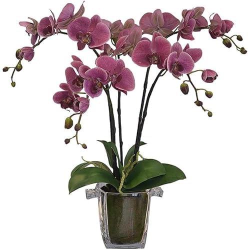 GddOGUK Orchidee Artificiali Fiore Artificiale Phalaenopsis con Vaso di Vetro Trasparente Fiore di plastica per la Decorazione di Fiori Finti per Feste di Matrimonio in casa al Chiuso