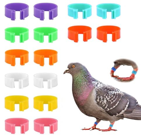 16 Stück Hühnerbeinringe, mehrfarbige Clip-On-Beinringe, nummerierte Hühner-Identifikations-Beinbänder, Geflügelbeinringe, für Hühner, Enten, Hühner, Gans, Geflügel, großes Geflügel