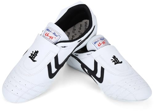 Keenso Scarpe Taekwondo, per Sport Boxe Kung Fu Taichi, Sneaker per Arti Marziali, Scarpe Leggere per Uomo e Donna con Custodia Blu(40)