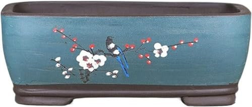 Maceta de Arena Morada para Flores, Maceta para begonias, Maceta para bonsái, Maceta Rectangular Sencilla y Extragrande con Orificios de Drenaje, Maceta Decorativa (Azul)