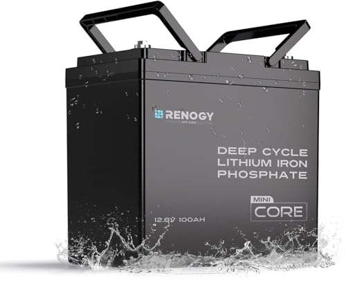 Renogy 100Ah 12.8V LiFePO4 Lithium Leisure Battery, 1280Wh with 100A BMS & Low Temp Protection, IP65 for Motorhome, Caravan, Campervan, Marine & Solar Power