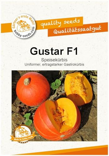 Gustar F1 Kürbissamen von Bobby-Seeds, Portion
