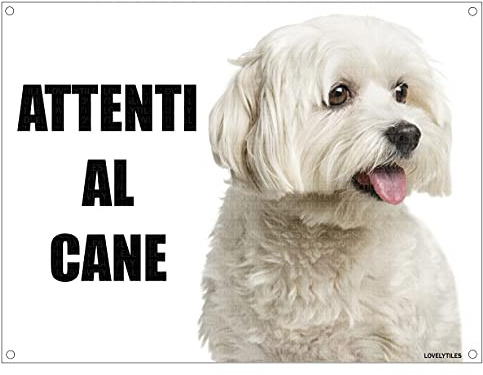 MALTESE attenti al cane mod 2 TARGA cartello IN METALLO (15X20)