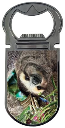 3D LiveLife Deluxebase, apribottiglie magnetico 3D lenticolare a forma di bradipo, apribottiglie magnetico per frigorifero, per bottiglie di birra e bar, accessori per casa, viaggi e regali.