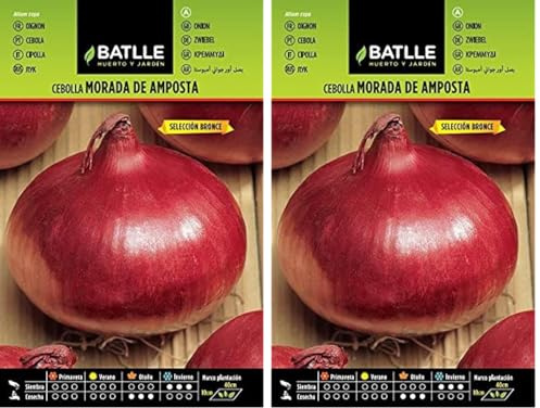 Semillas Batlle Graines d’Oignon Violet d'Amposta, Bronze (Lot de 2)