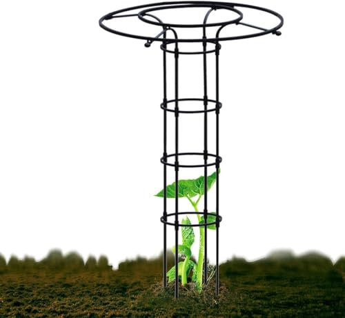 Outdoor Garden Obelisk Trellis for Climbing Plants Vine Jasmine Rose Bush,Garden Trellis for Climbing Plants,Climbing Rose Trellis(Size:210/80.7in)