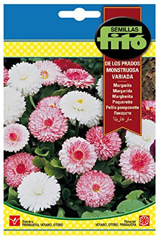 Semillas Fitó 3126 - Semillas de Margarita de los Prados Monstruosa Variada