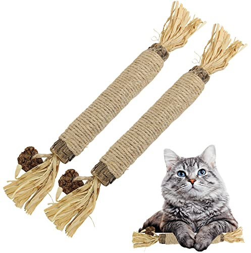 HUPA Catnip Silvervine Sticks | Anxiety Relief & Kitten Teeth Cleaning, Natural Silvervine with Raffia Grass for Healthy Teeth & Digestion | for Indoor Cats, All Ages & Breeds | 2 Sticks