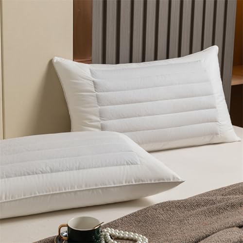 TFDRSEXVD Oreiller de Couchage en Sarrasin Biologique, réglable en Hauteur, Respirant et Frais, Offre Un Soutien Cervical aux dormeurs sur Le Dos et sur Le côté,Blanc,75x45cm(1300g)