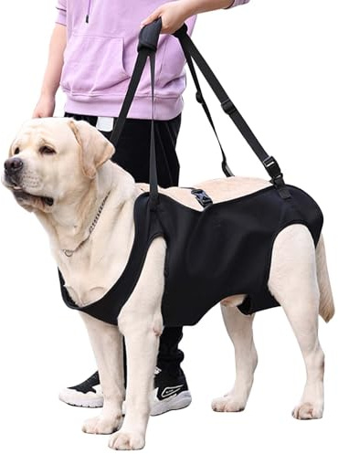 Hundeliftgeschirr, Haustierunterstützung Hund Lift Support für Hunde, Rehabilitation Geschirr Mobilität Sling für Alt, Gelenkverletzungen, Arthritis, Stabilitätsverlust Hunde, Schwarz (L)