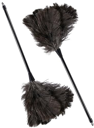 Healeved Lot De 2 Plumeaux à Plumage Noirs Avec Manche Pour Nettoyage Réutilisable, Outil De Dépoussiérage Maison Et Bureau, Pour Meubles, Ventilateurs De Plafond Et Surfaces Délicates