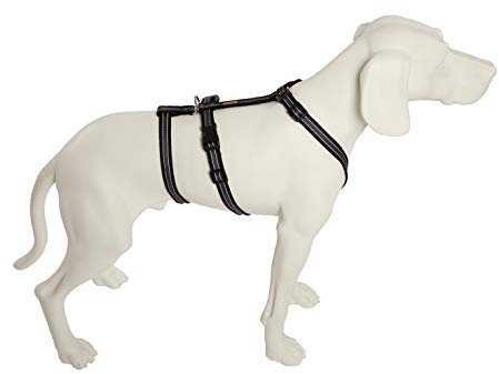 Feltmann No Exit ausbruchsicheres Hundegeschirr für Angsthund, Sicherheitsgeschirr für Pflegehunde, Panikgeschirr, Soft Grip, Bauchumfang 40-60 cm, 15 mm Bandbreite, schwarz/Silber