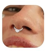 BodyBonita 16G Septum Piercing Schmuck – 316L Edelstahl Nasenring Nasenpiercing mit Zirkonia für Frauen Männer Conch Helix Piercings Tragus Daith Knorpel Ohrpiercing 14 Karat Gold/Silber 8 mm/10 mm