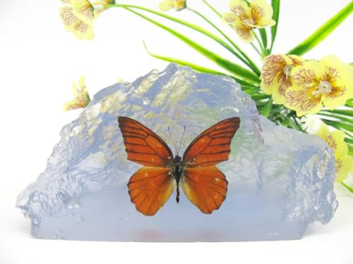 In Kunstharz gegossene Schmetterlinge, Insekten, Skorpione und mehr. Briefbeschwerer, Icemountain, nicht scharfkantig (Schmetterling 21)