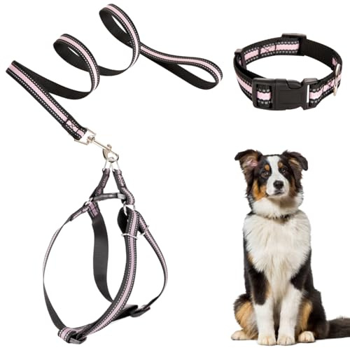 TYXHXTF Hundegeschirr mit Leine, Verstellbares und Atmungsaktives Hundegeschirr, Anti Zug Brustgeschirr und Leine Set für Kleine und Mittelgroße Hunde