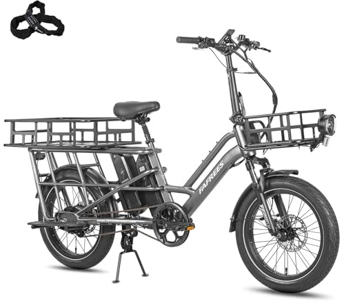 Fafrees FF20 CUV Familie Elektro Fahrrad 20 Zoll [ Offiziell ] Damen E Bike Herren 25km/h Pedelec, 12Ah / 576Wh*2 Akku, 200kg 75N.m Hydraulikbremsen E-Cargo, Fatbike für Erwachsene