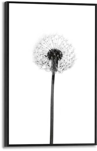 REINDERS Gerahmtes Bild, Pusteblume, Küche, Bilder, Wanddeko, Room Decor, MDF, Schwarz-Weiß, 30 x 20