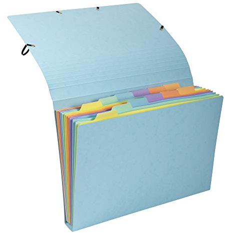 Exacompta 58560E Premium Fächermappe Aquarel aus extra starkem Colorspan-Karton für DIN A4 12 Fächer Gummizugverschluss perfekt zur Aufbewahrung Ihrer Dokumente Ordnungsmappe 1 Stück Zufallsfarbe