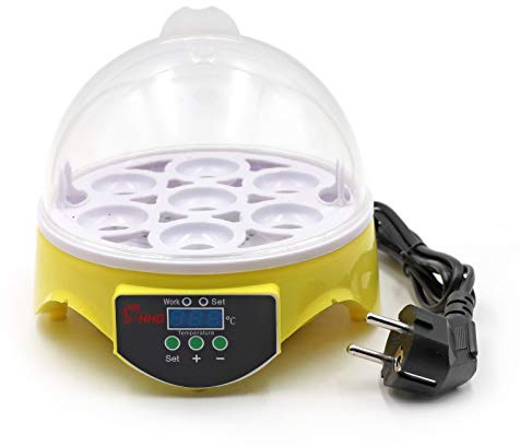 Inkubator Hühner, 7 kleine Eier Brutkasten, Geflügelbrutkasten, intelligente digitale Temperaturregelung, Huhn Ente, Wachteleier, EU Stecker