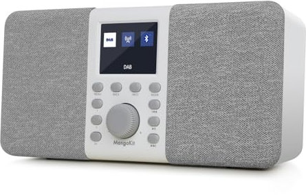 MangoKit MD5 DAB stereo con altoparlante Bluetooth,digitale DAB+,radio FM da alimentata a rete a batteria,display a colori,40stazioni preimpostate,sveglia e orologio,Snooze,porta cuffie-grigio pietra